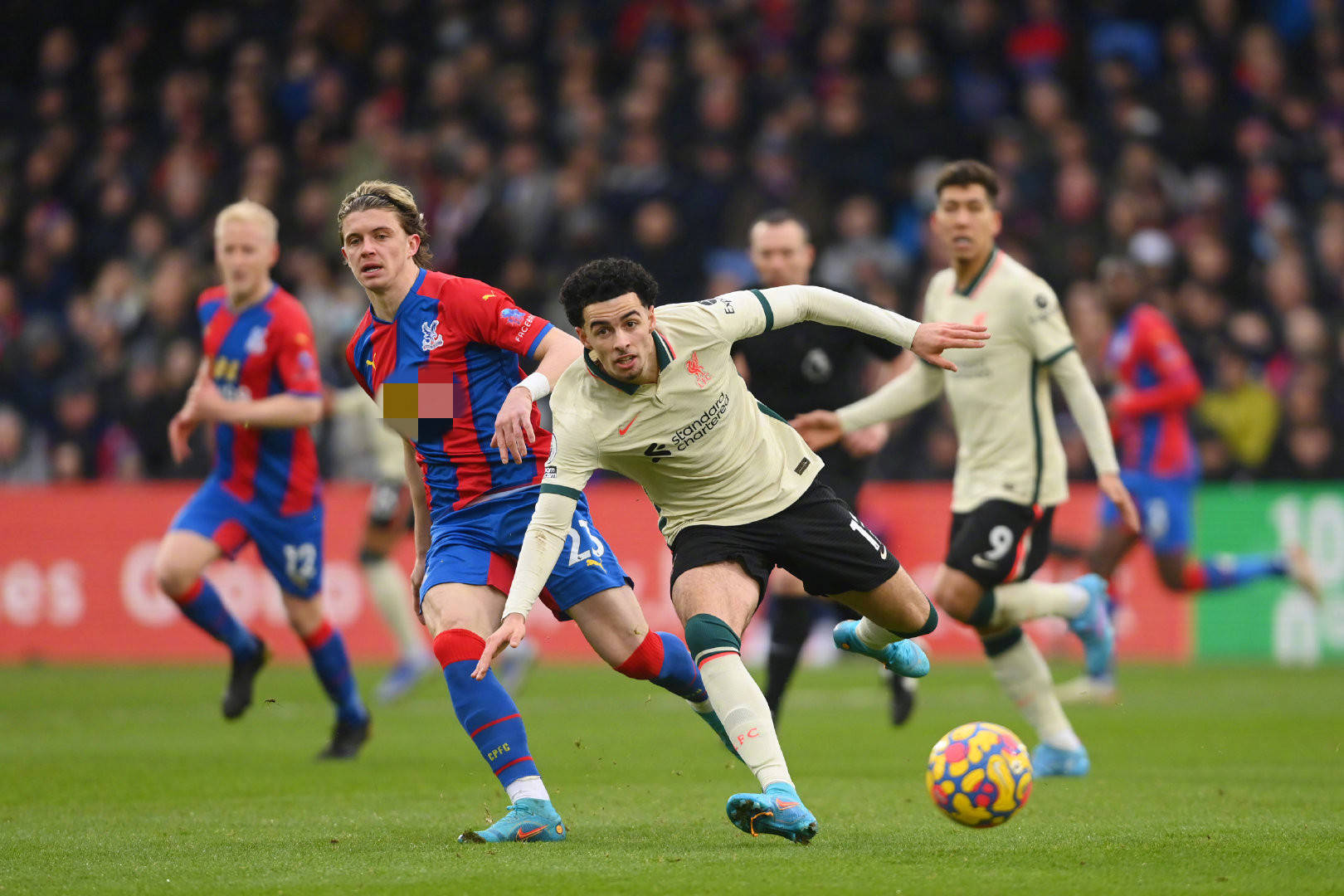 以应对当前 以应对当前